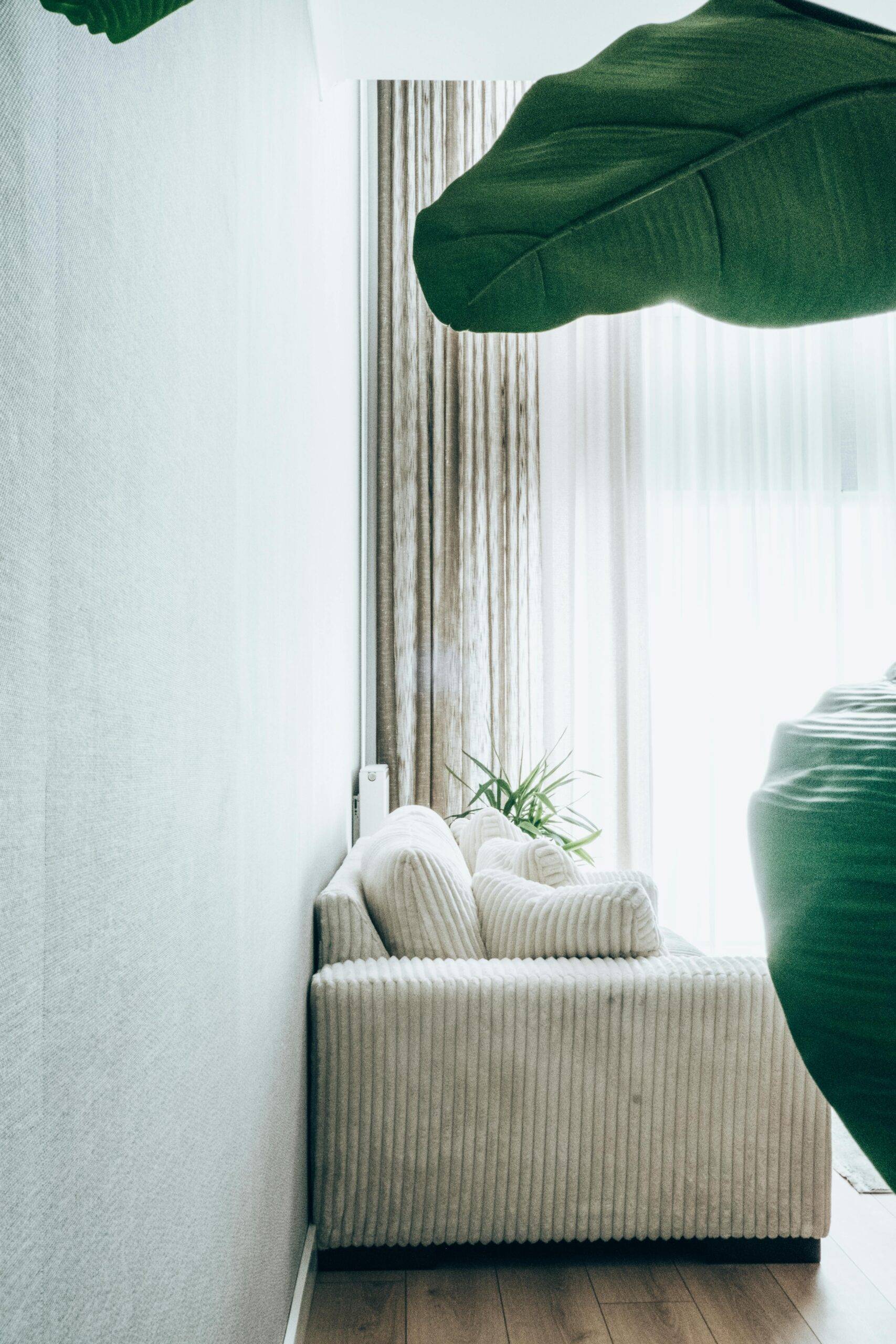 pexels-beyza-kilicdere-1855080990-29012625